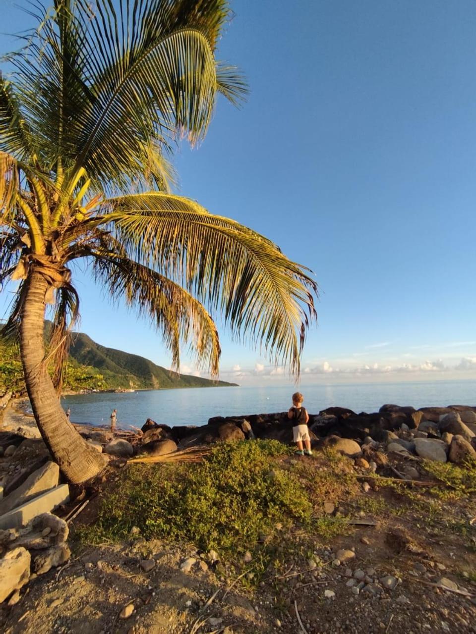 Kaz A Soley - Gite Vue Panoramique Sur La Mer - Plage A 500M Gourbeyre المظهر الخارجي الصورة